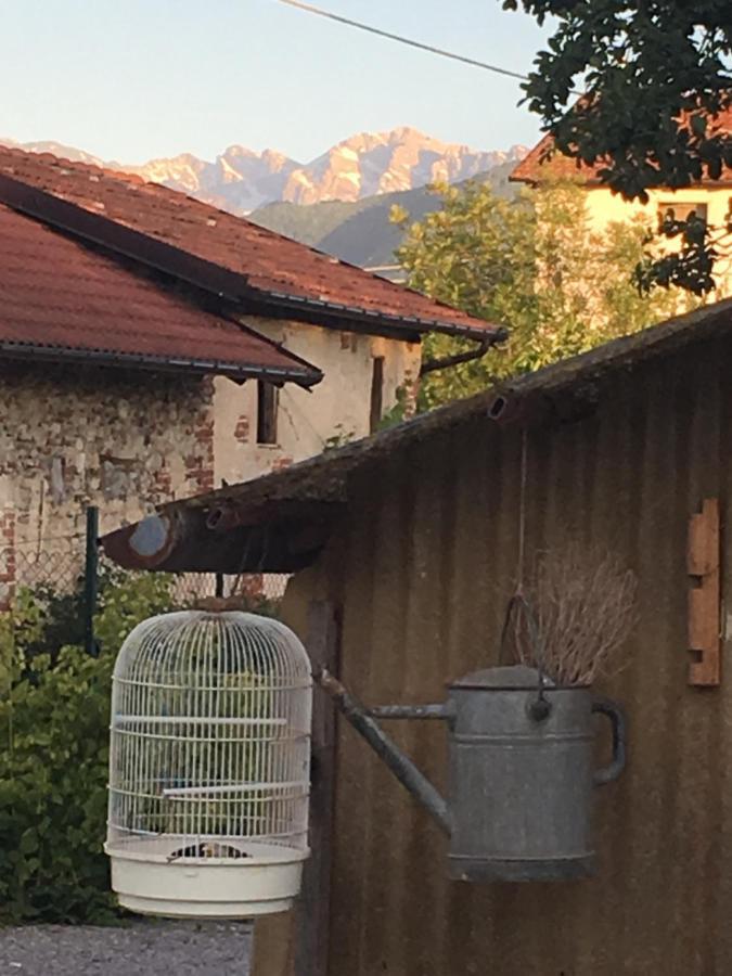 B&B Cm Ranch Cuneo Eksteriør billede